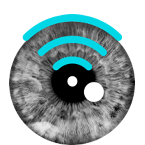 eyeball